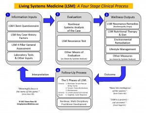 living-systems-medicine-four-stage-clinical-process